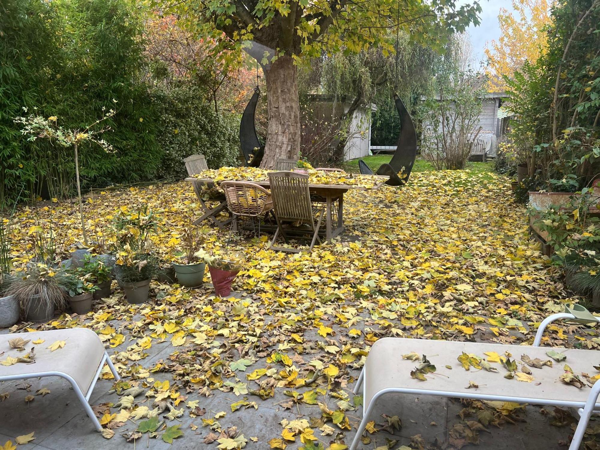 Homestay Petit Cocon Lillois:cheminee & Jardin *