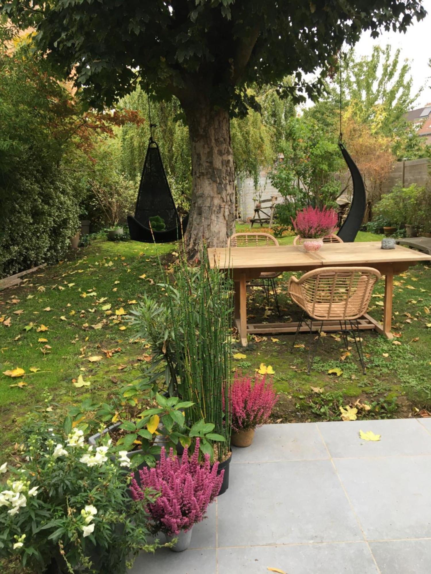 Petit Cocon Lillois:cheminee & Jardin *