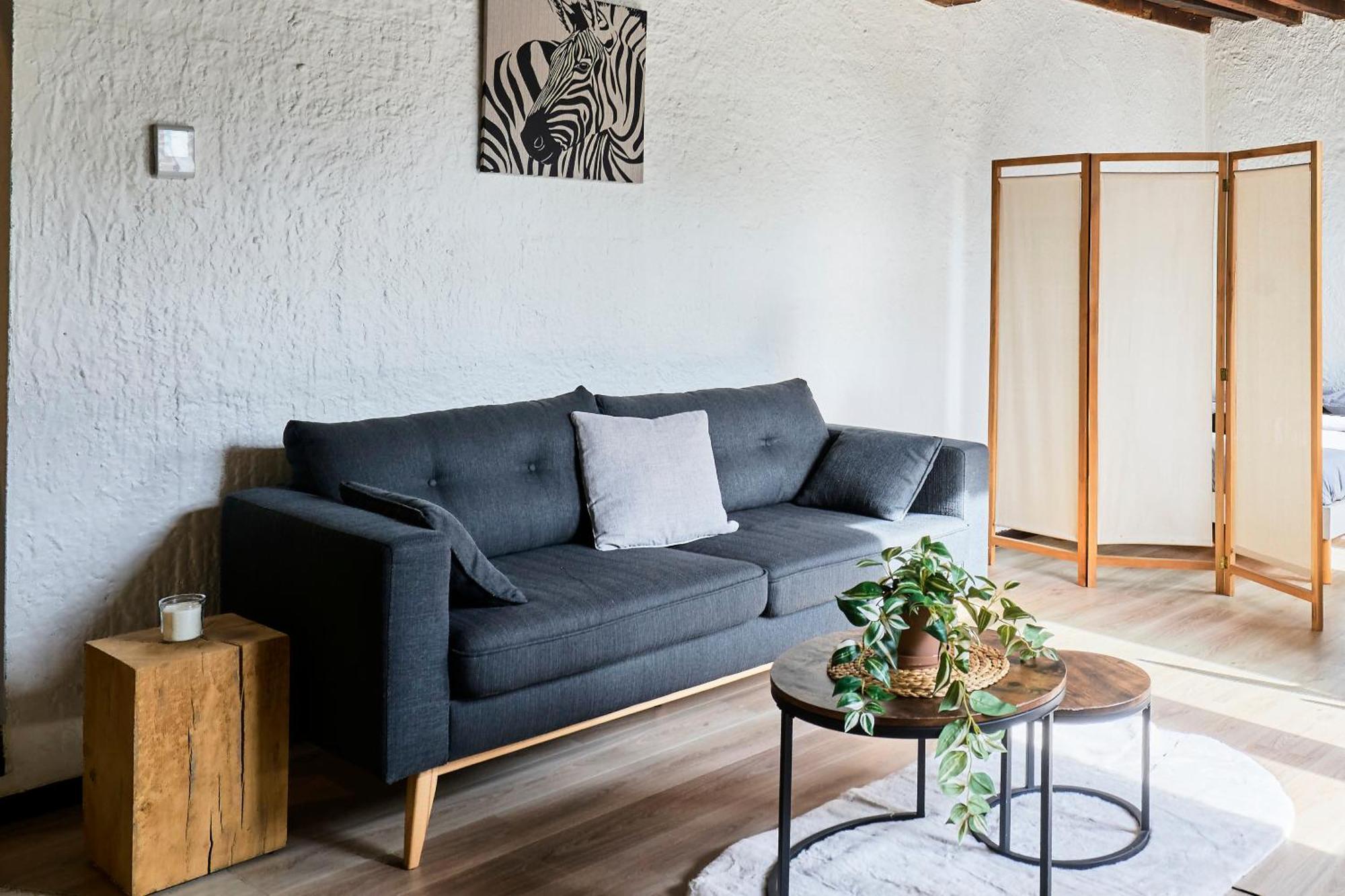 Le Nid Lillois Apartment