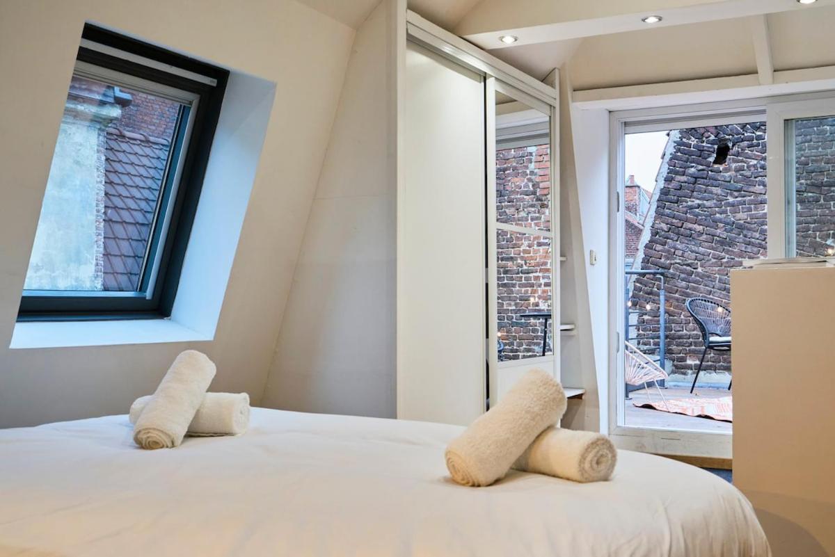 Duplex Rue Royale, Rooftop, Balneo Apartment Lille