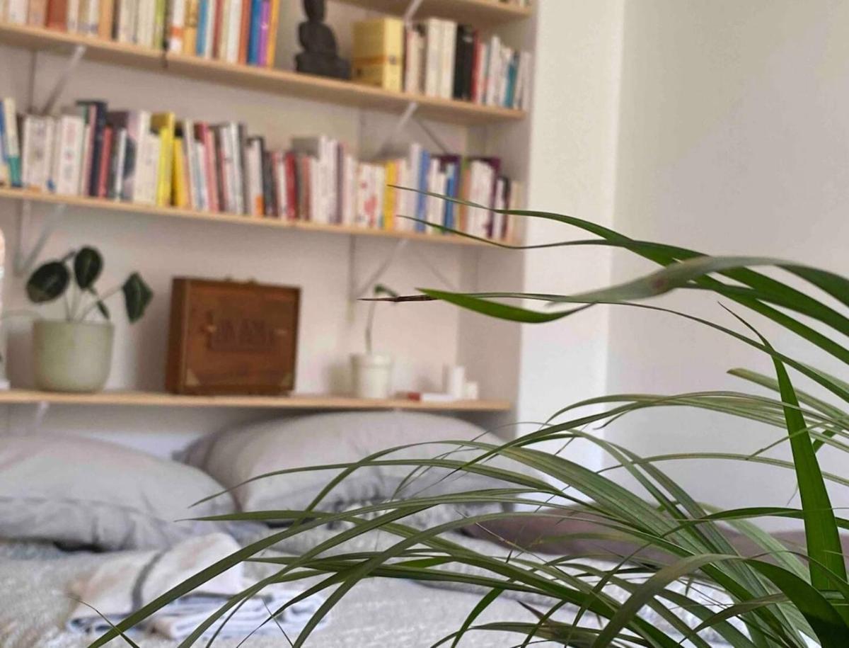 Maison Avec Jardin A Lille - La Pepiniere *