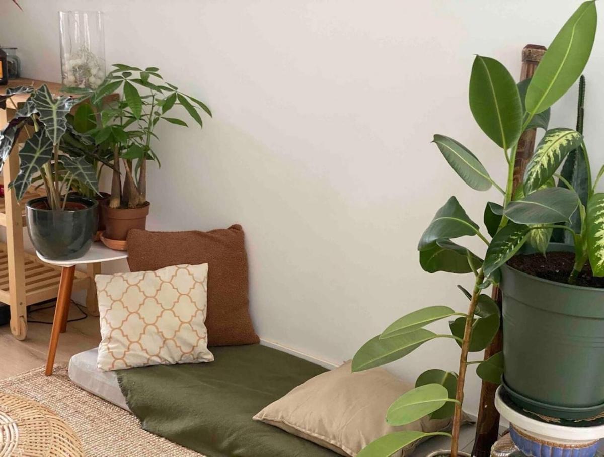 Maison Avec Jardin A Lille - La Pepiniere *