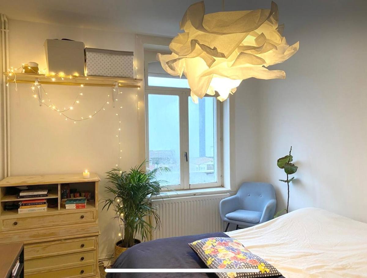 Maison Avec Jardin A Lille - La Pepiniere Holiday home