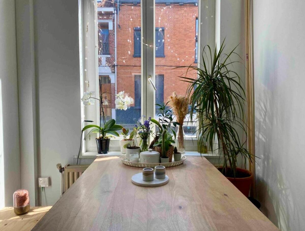 Maison Avec Jardin A Lille - La Pepiniere * Lille