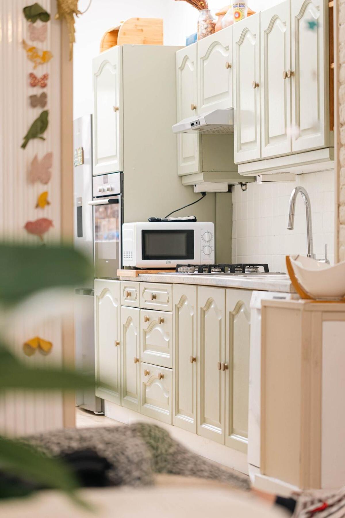 Maison Avec Jardin A Lille - La Pepiniere Holiday home