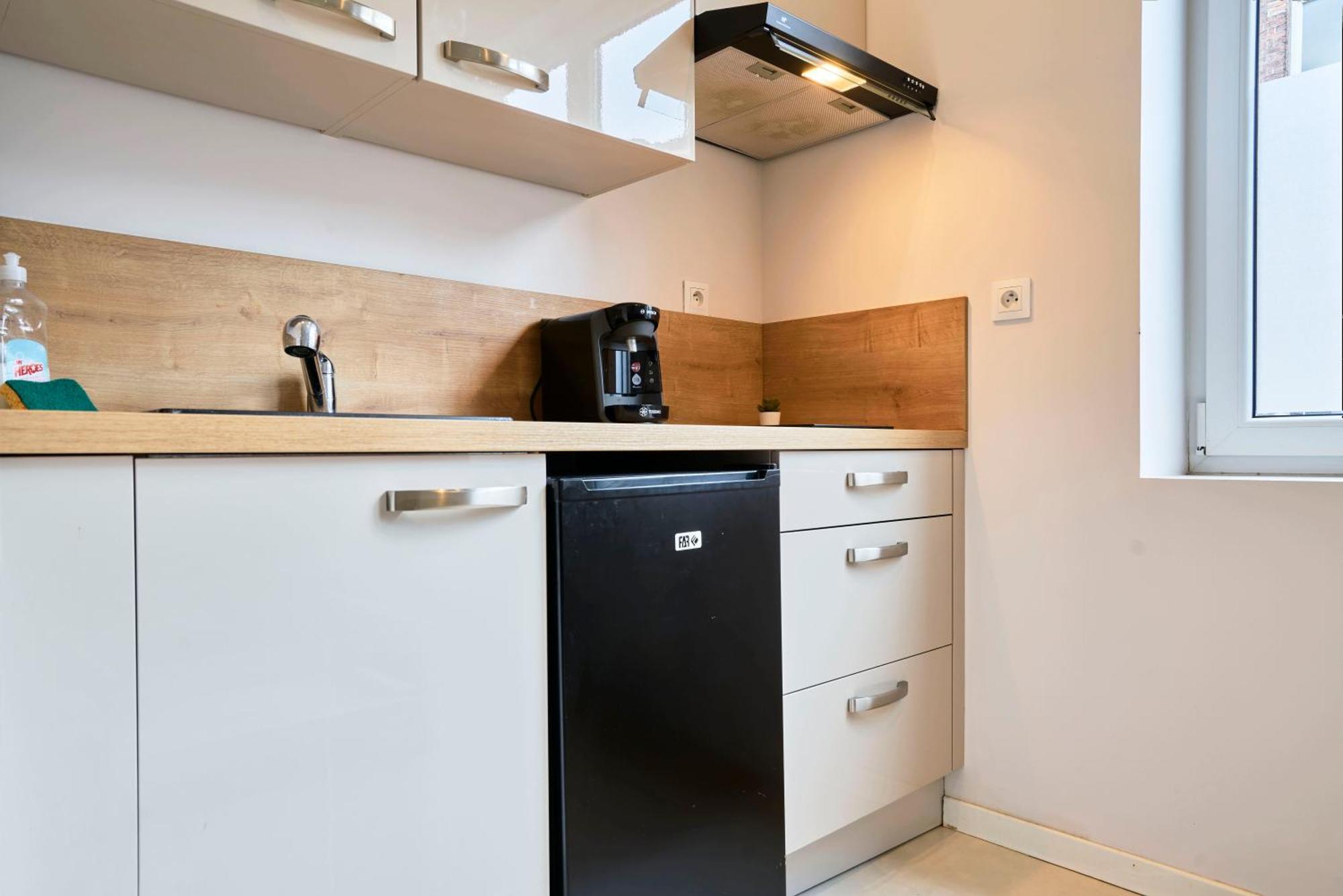 Proche De La Gare Flandres Apartment Lille