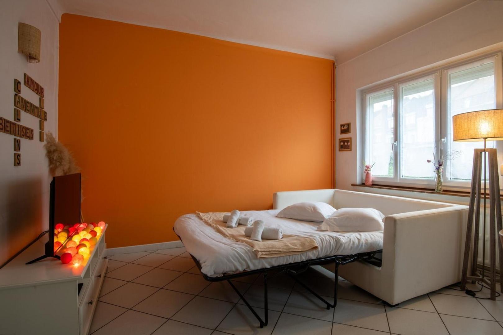 Family In Lille, Garden And Parking - 6/8p Holiday home