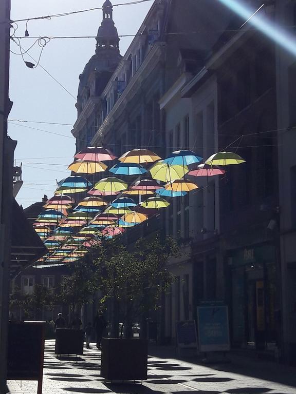 Apartment Centre Ville, Beaux Arts Et Grand Palais, Bienvenue Chez Nestyou Lille