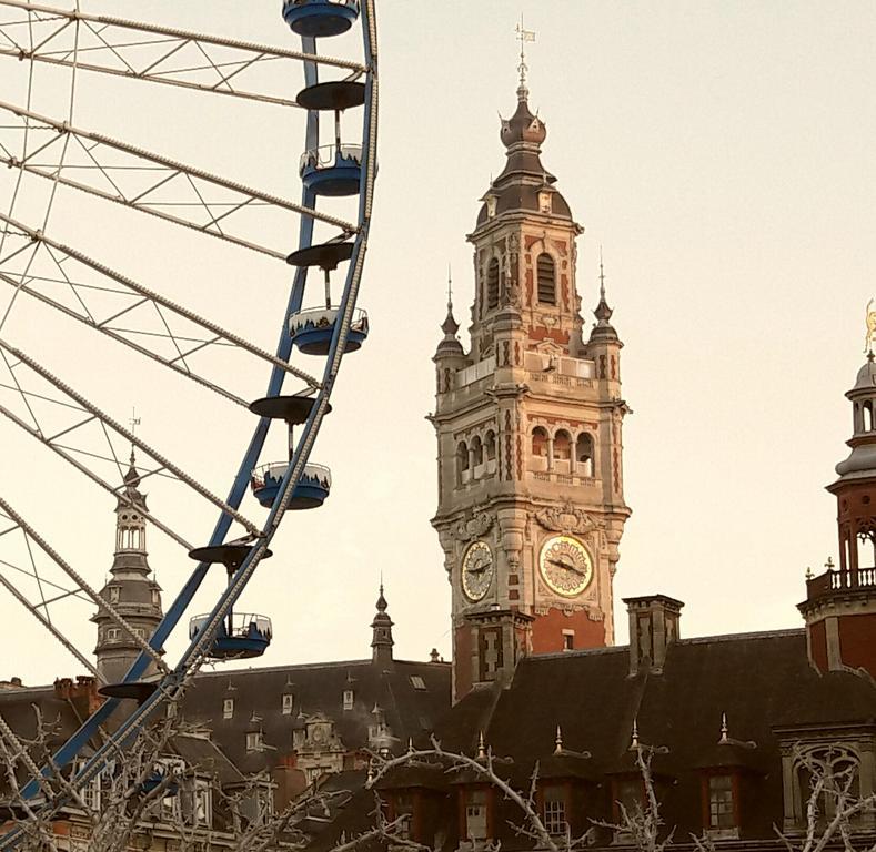 Centre Ville, Beaux Arts Et Grand Palais, Bienvenue Chez Nestyou