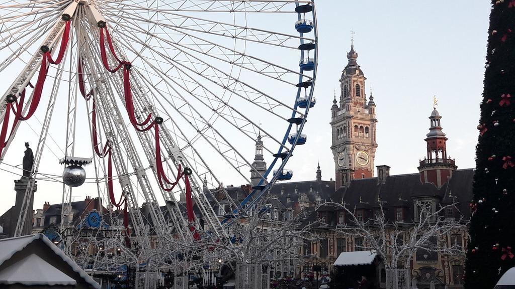 Centre Ville, Beaux Arts Et Grand Palais, Bienvenue Chez Nestyou * Lille