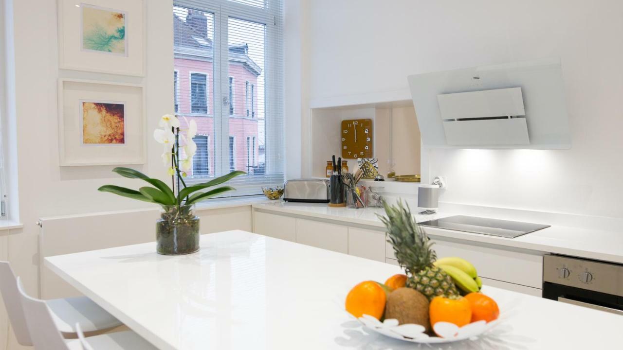 Luxueux Bourgeois De 250 M2 Climatise * Lille