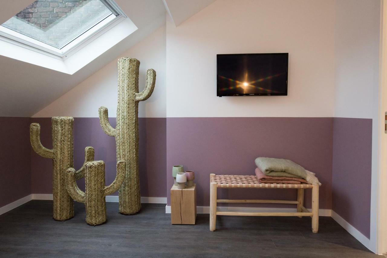Luxueux Bourgeois De 250 M2 Climatise * Lille