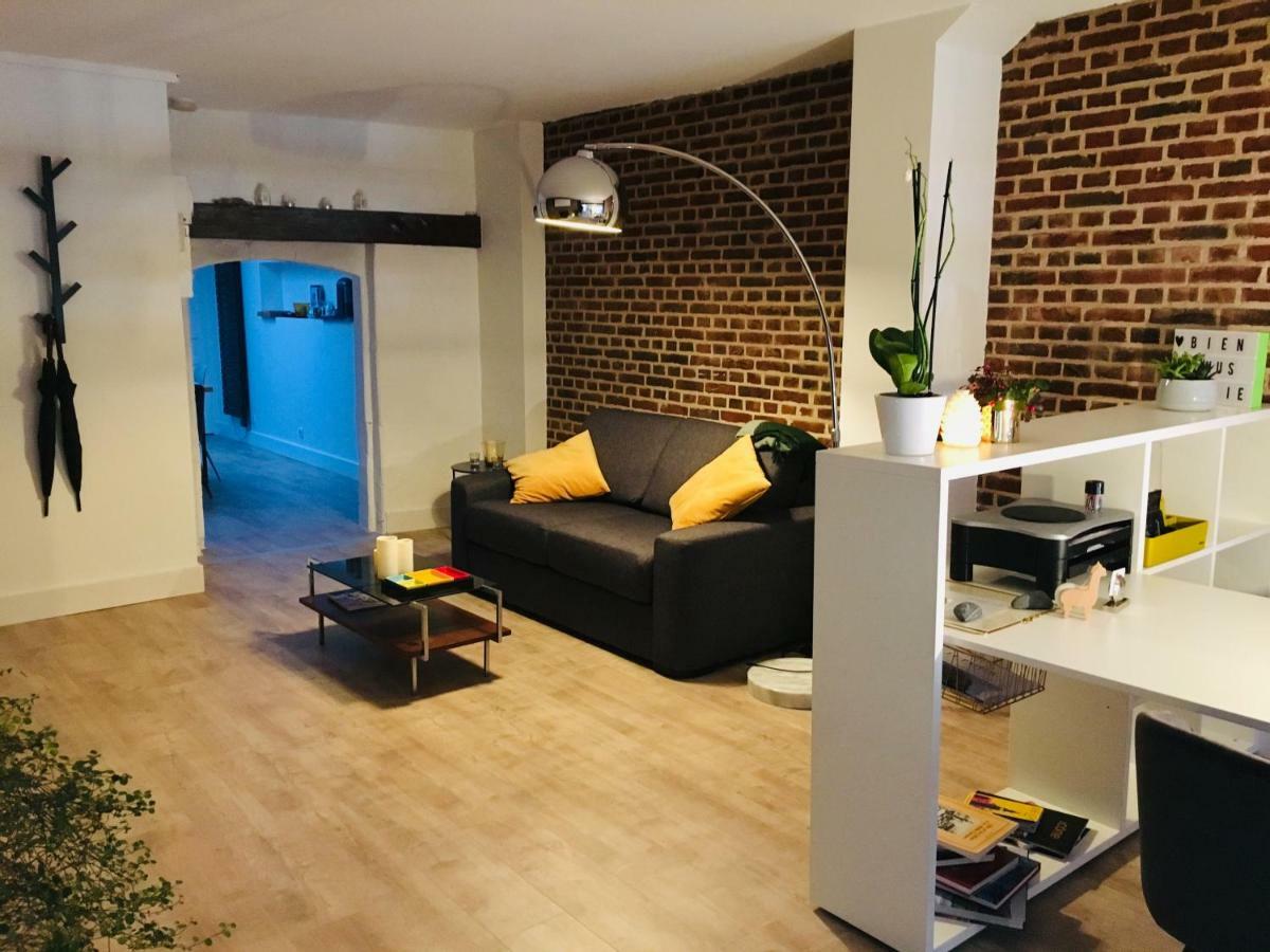 Apartment Heloise, Le Charme Du Vieux-lille