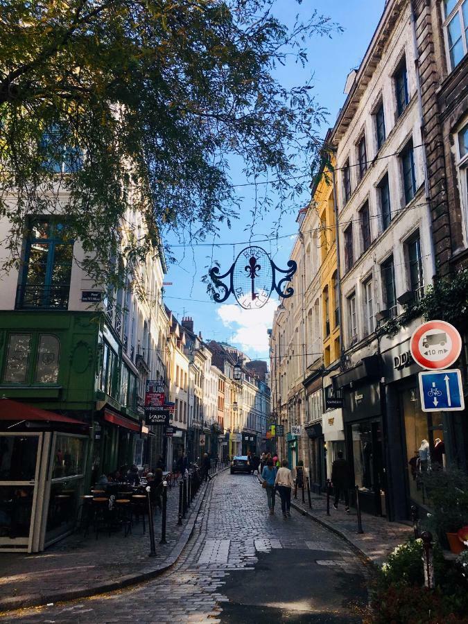 Appartement Heloise, Le Charme Du Vieux-lille *