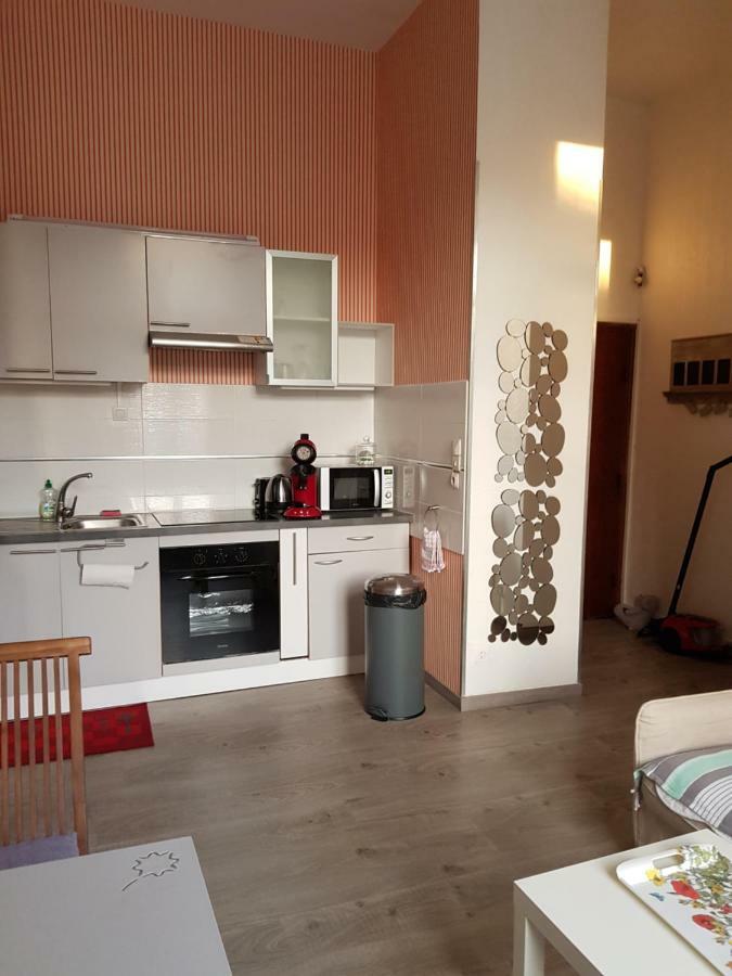 Apartment Apart Au Standing - Ambiance Cosy - Dans Un Immeuble De Prestige Du 19eme Siecle - Terrasse Au Rdc - Parking Lille