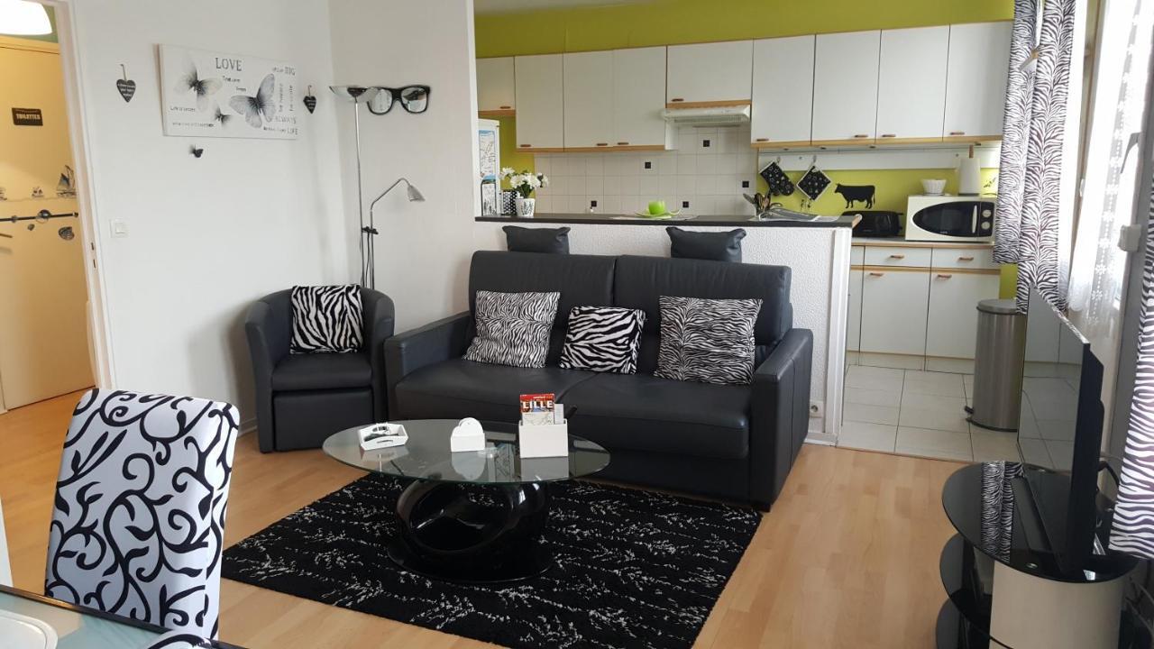 Lumineux Apartment Lille