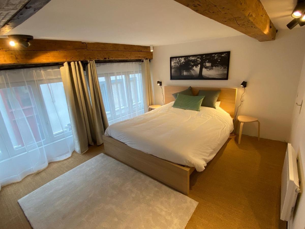 Apartment La Halloterie, Vieux Lille, Town Center *