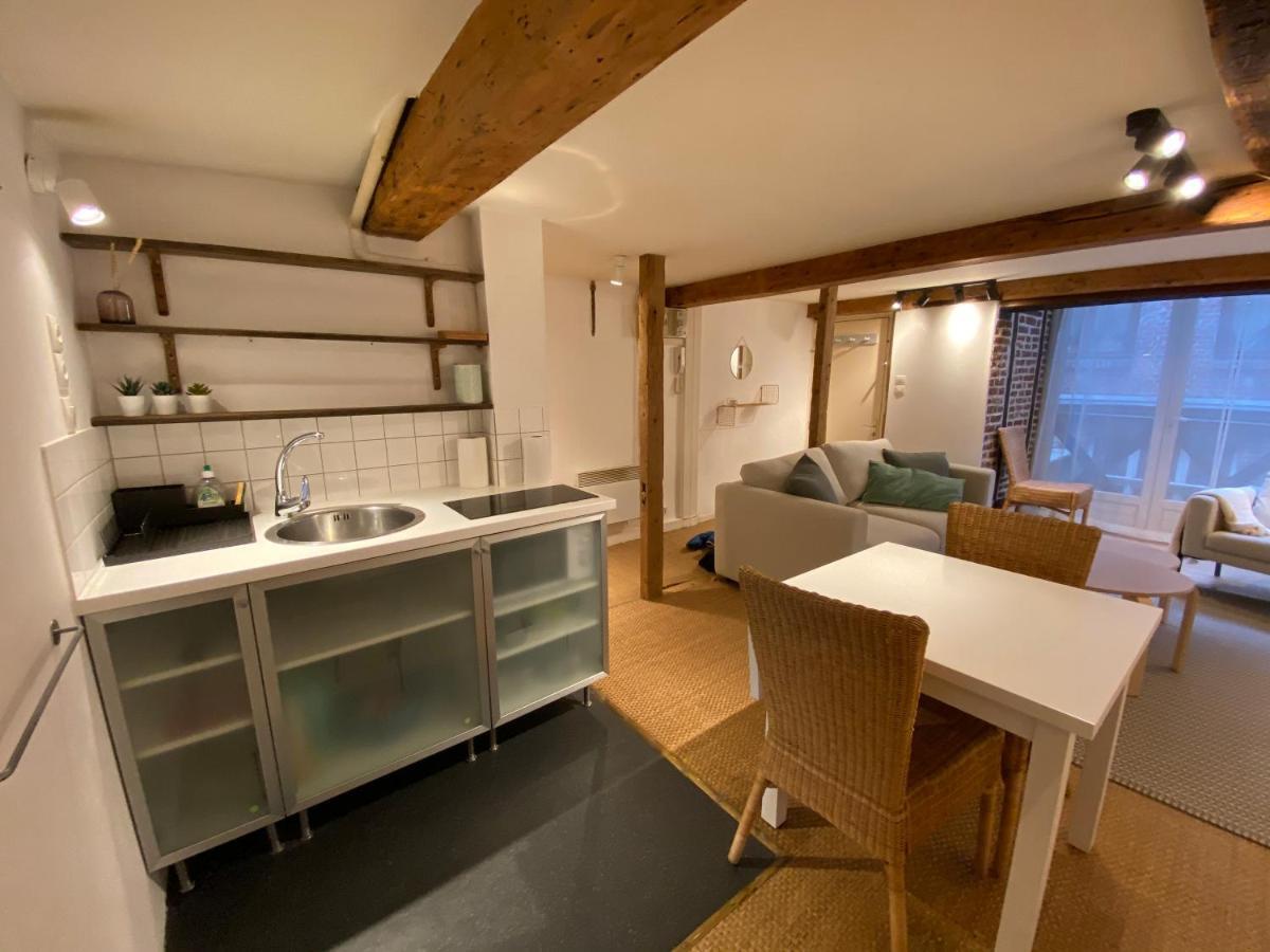 Apartment La Halloterie, Vieux Lille, Town Center