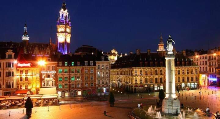 Lumineux, Bois Blancs, Euratechnologie Appartement *