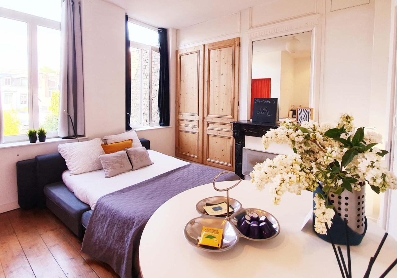 Centre Ville, Beaux Arts Et Grand Palais, Bienvenue Chez Nestyou Lille