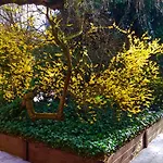 La Villa Carree