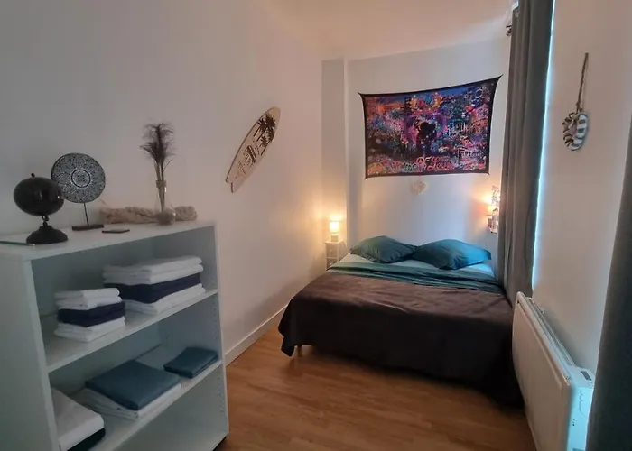 Offre Speciale Joli T2 Coeur De Lille