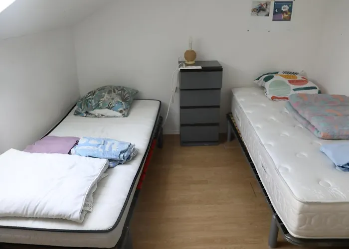 Duplex Appartement Lille 2