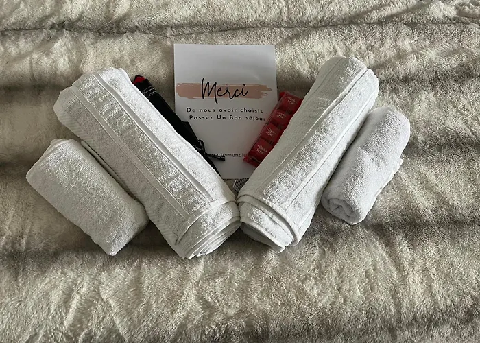 Appartement Luxueux Au Coeur De Lille