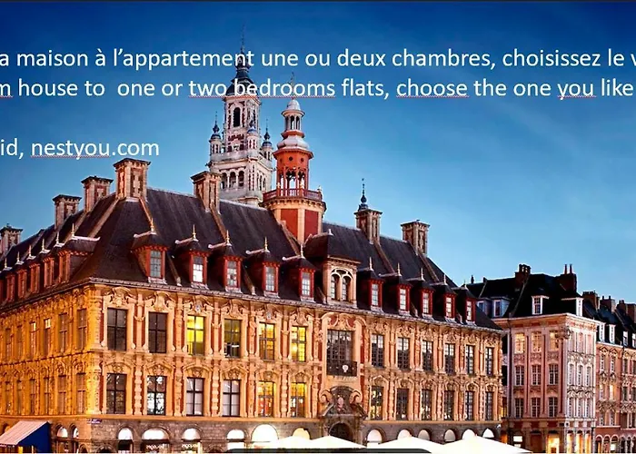 Nestyou Vieux Lille Centre Ville