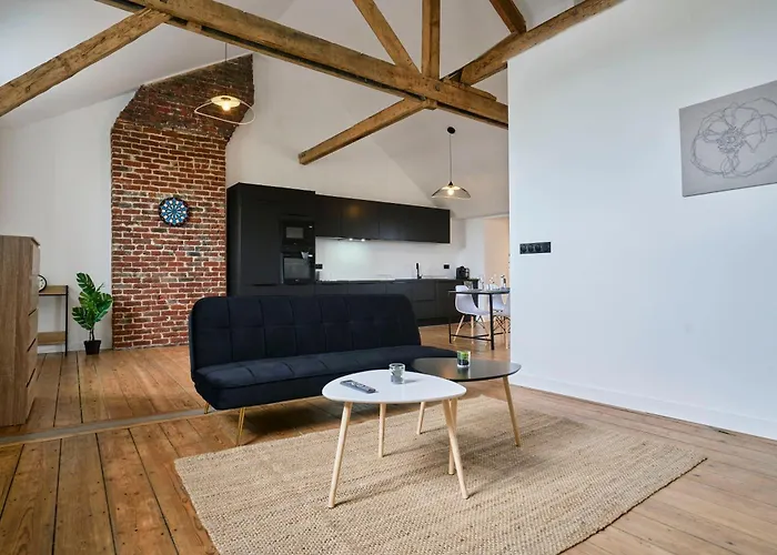 T3 Loft Authentique Hypercentre Lille