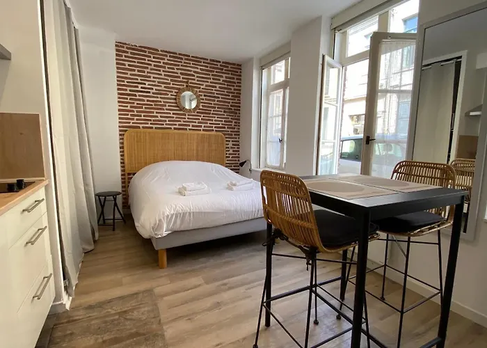 Nestor - Studio Renove Vieux Lille Esplanade -