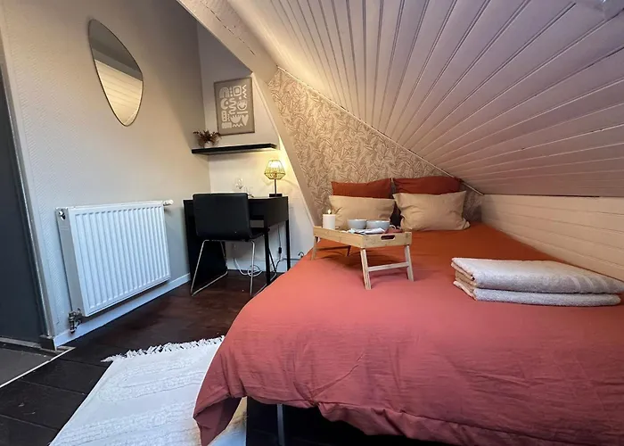 Lerelaisdodile - Apparts Conforts - Lille