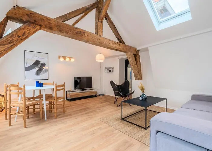 Charming Rooftop Apartment In Old Lille!