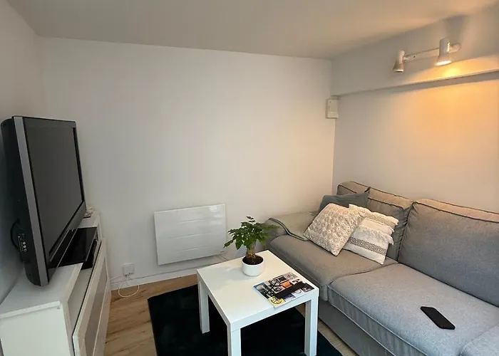 Lille, Appartement De Charme