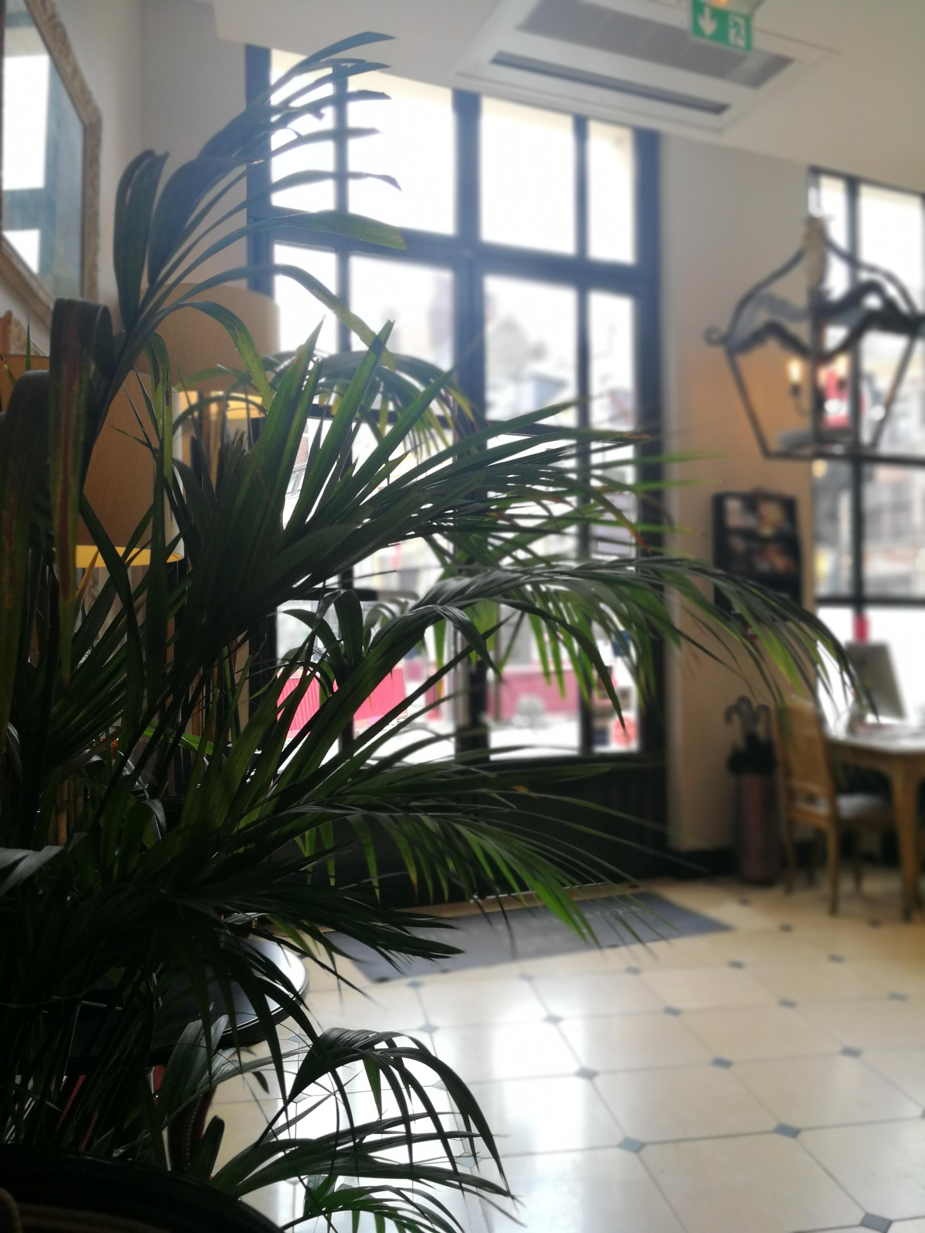 De La Treille 3* Lille