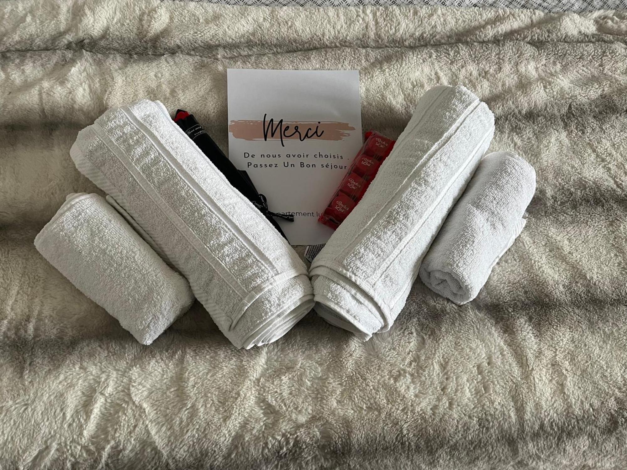 Luxueux Au Coeur De Appartement *