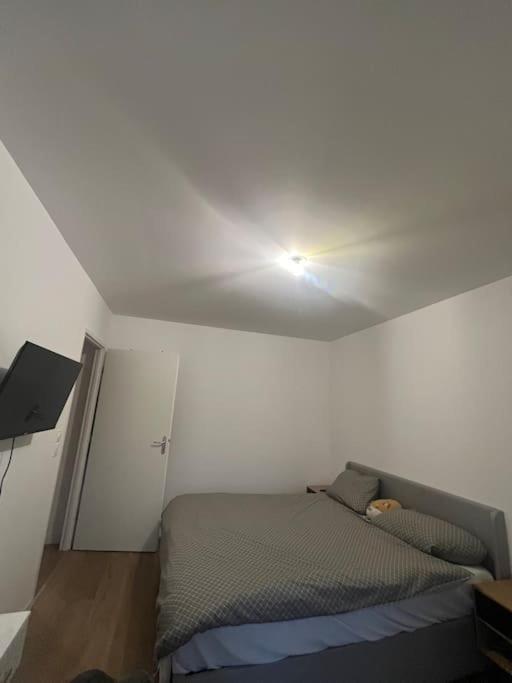Luxueux Au Coeur De Appartement *