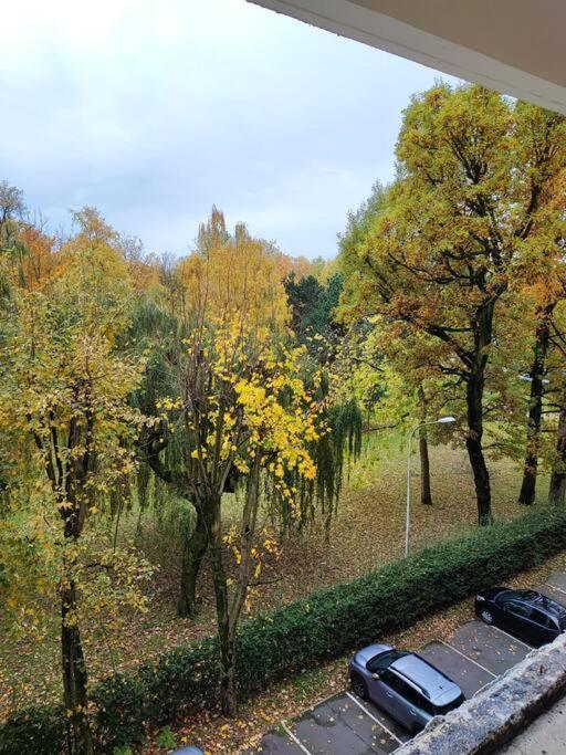 Appartement Sweet Lille