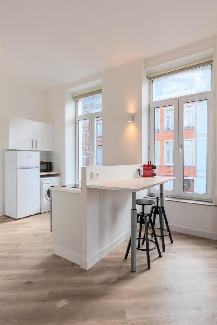 Spacious And Bright In The Center. Apartment