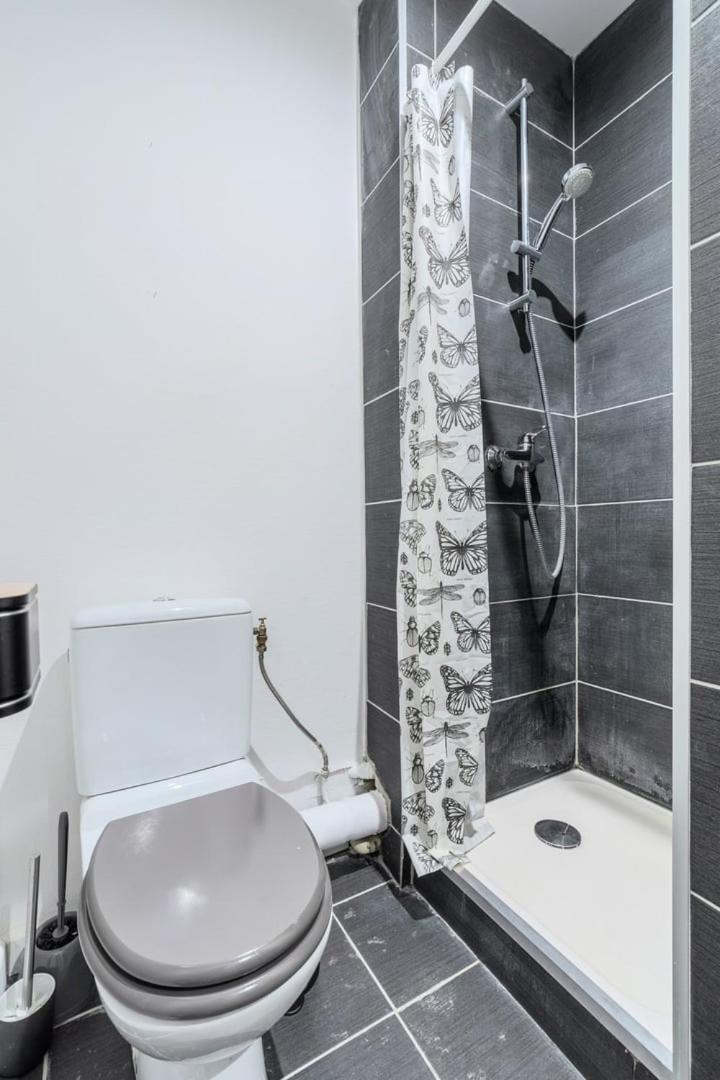 Apartment Beautiful Renovated Appart In The Center Of Lille