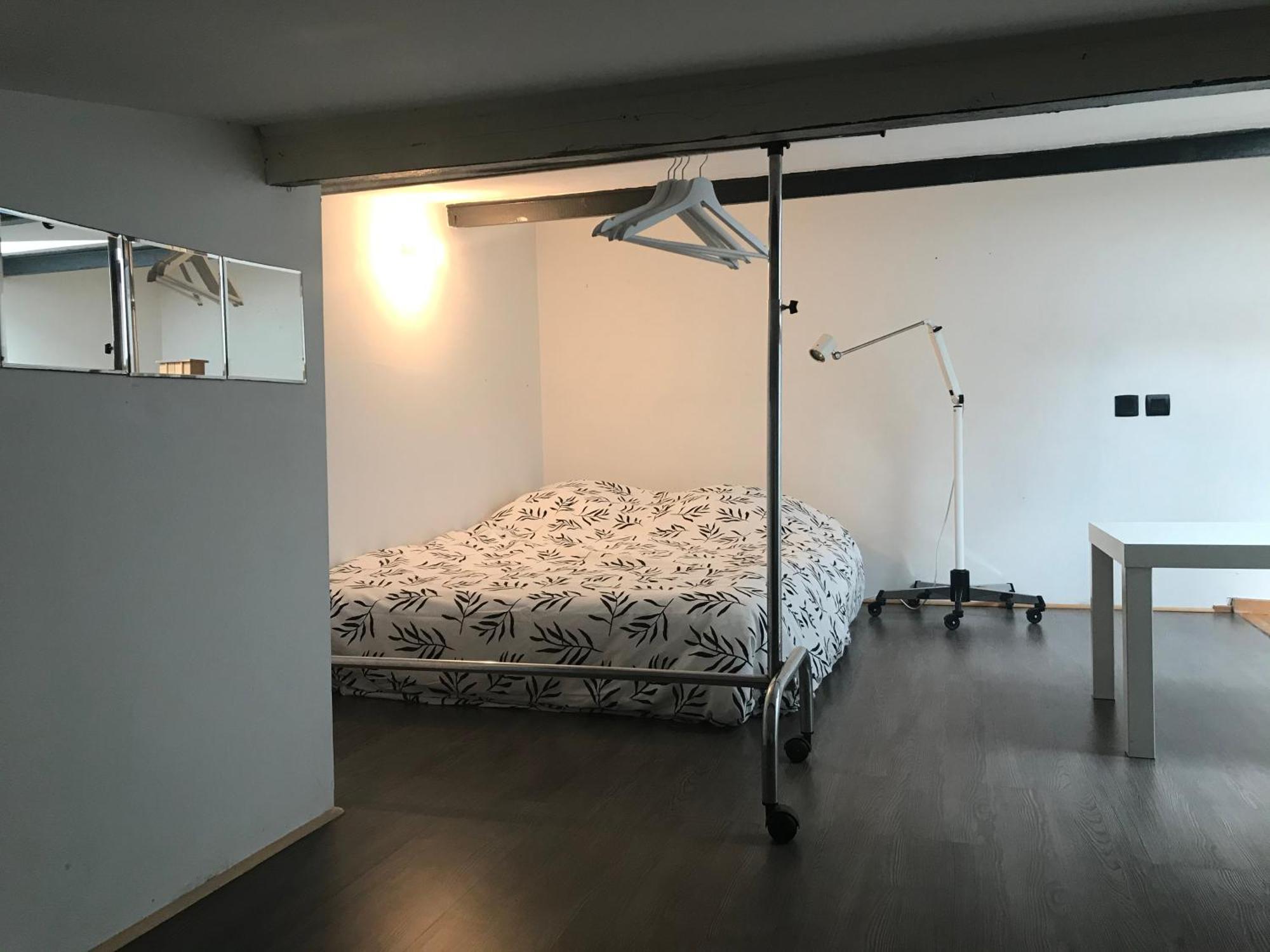 Apartment Loft Dans Le Centre