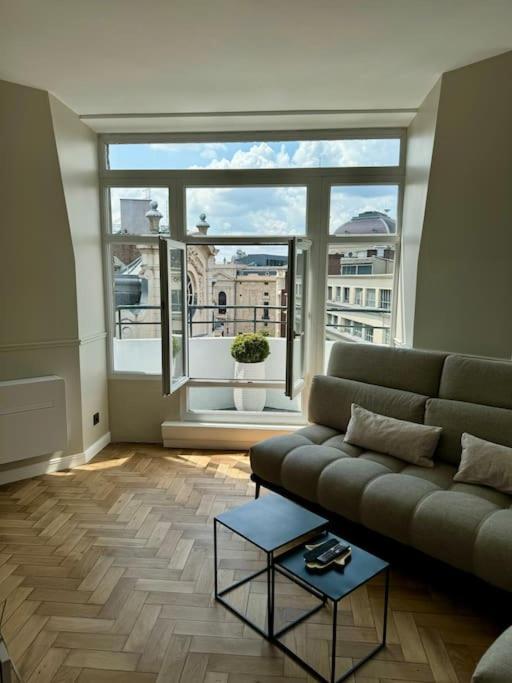 Bel Climatise En Plein Coeur De Apartment *
