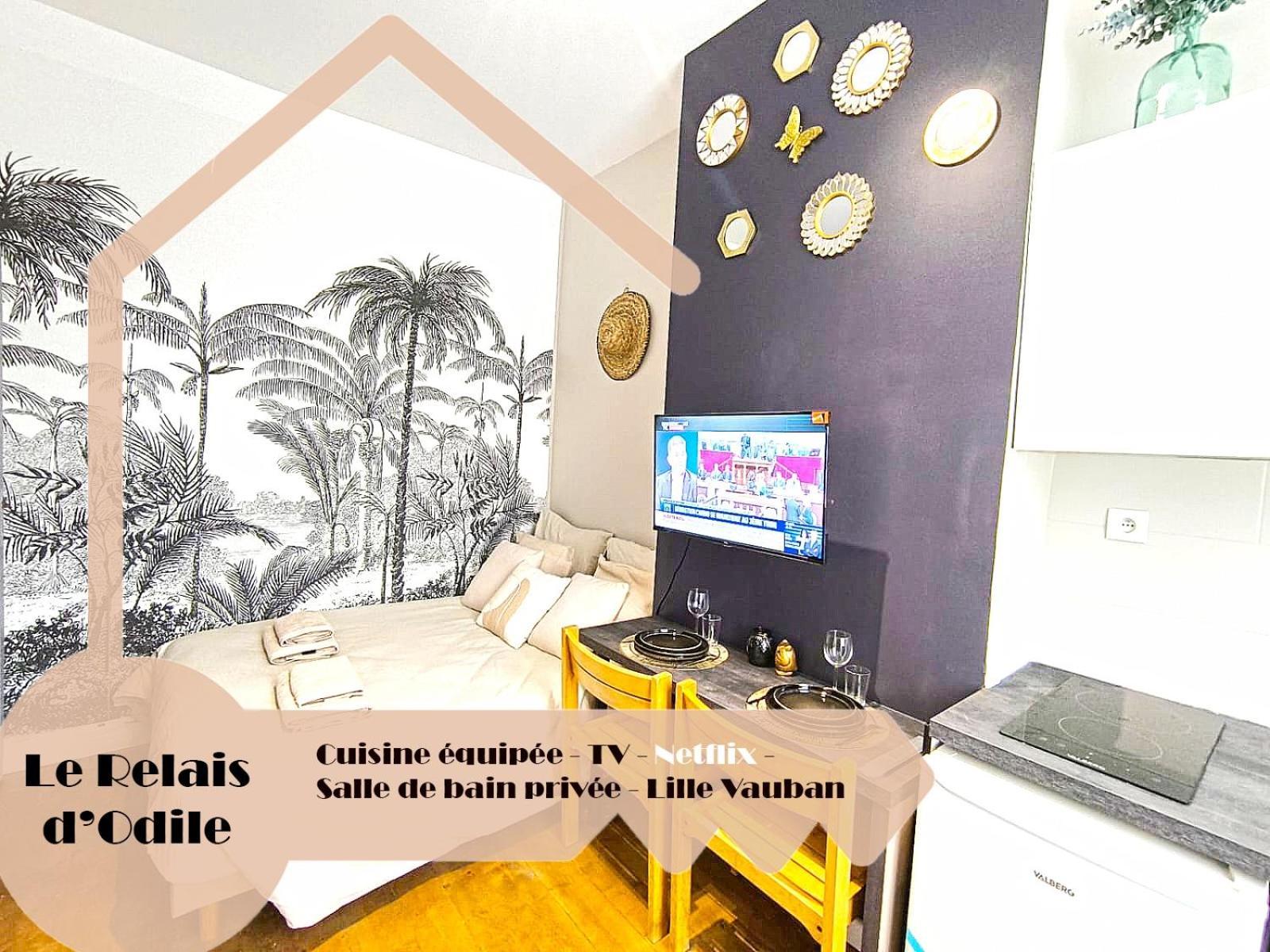 Aparthotel Lerelaisdodile - Conforts - *