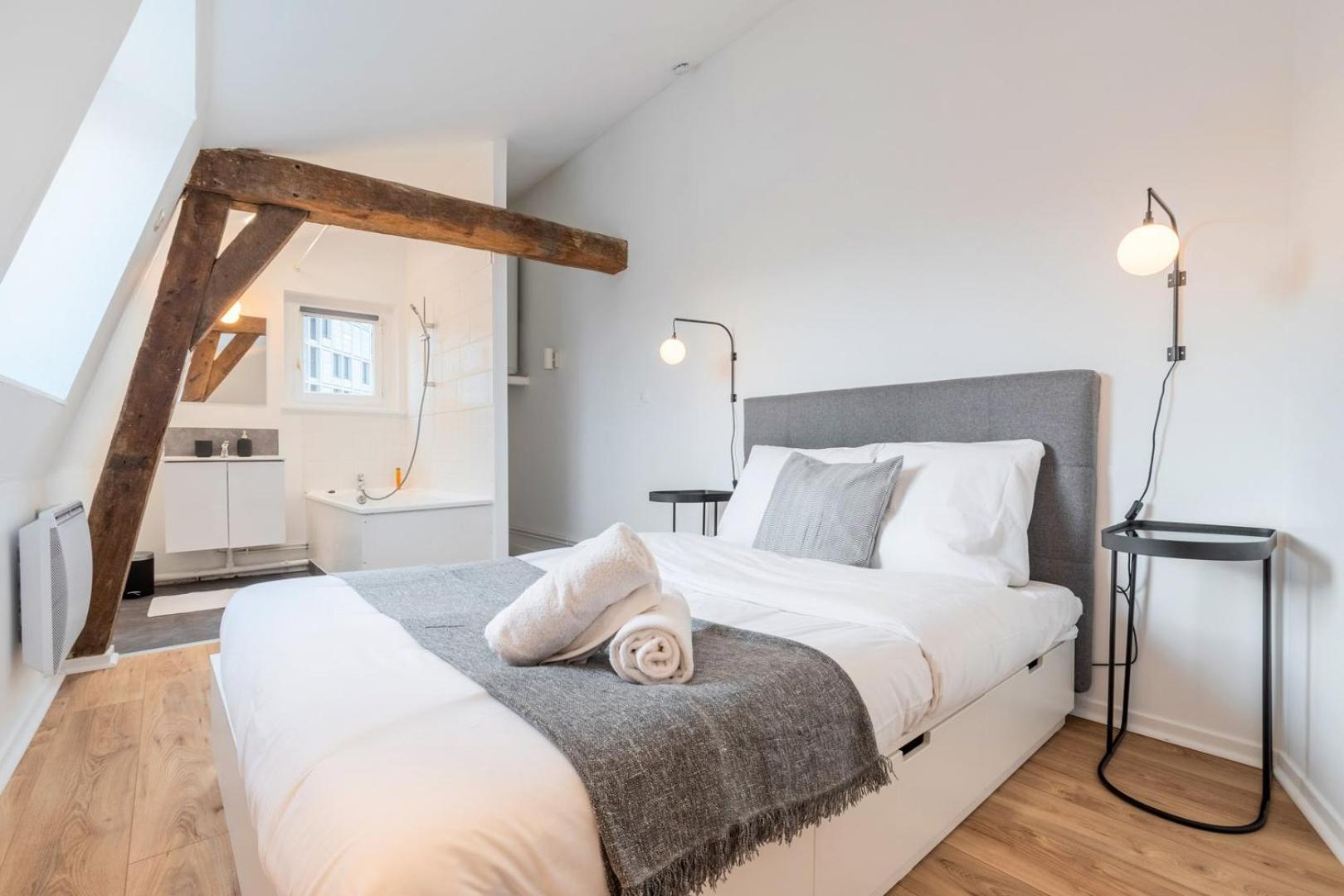 Apartment Charming Rooftop In Old Lille!