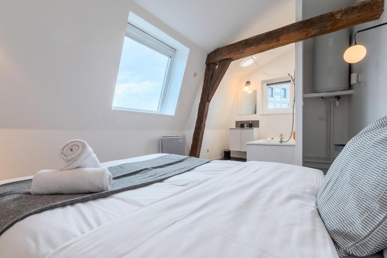 Apartment Charming Rooftop In Old Lille!