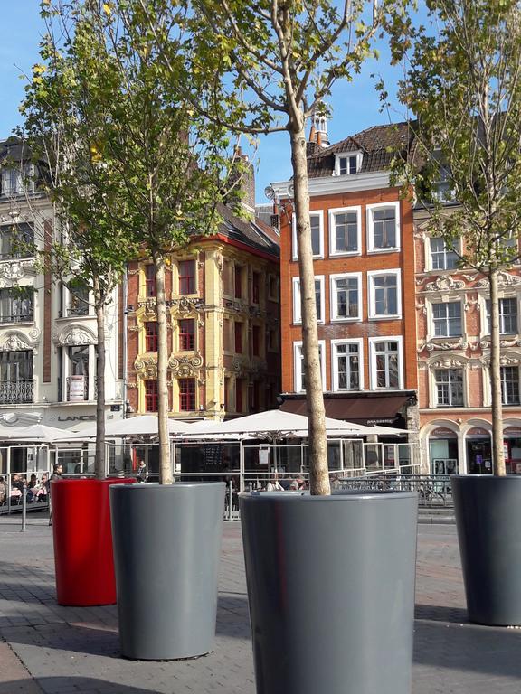 Nestyou Centre Appartement Lille